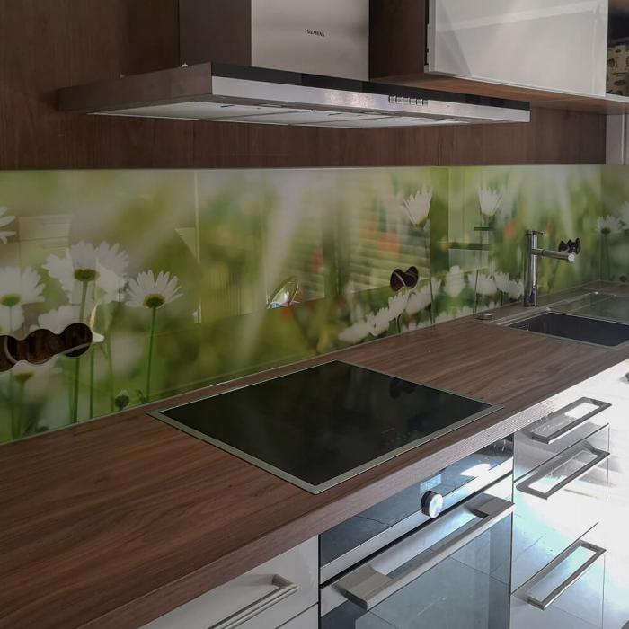Glashaus Dingden Colorglas 29